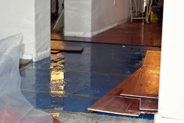 Professional Burst Pipe Cleanup technician working in Petersburg, MI