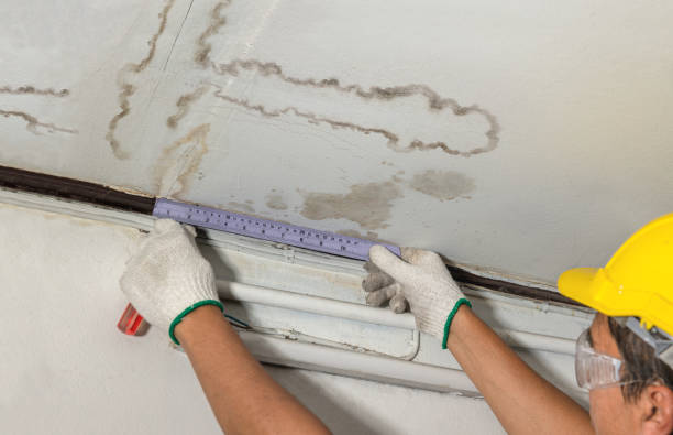 Reliable Burst Pipe Cleanup contractor in Petersburg, MI by Water Damage Irwin